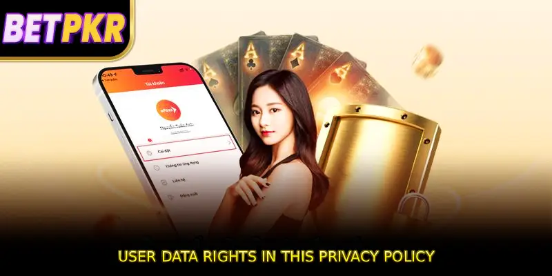 User Data Rights in This Privacy Policy